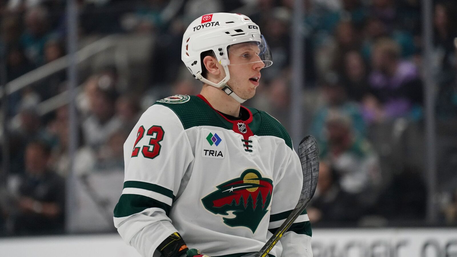 NHL News