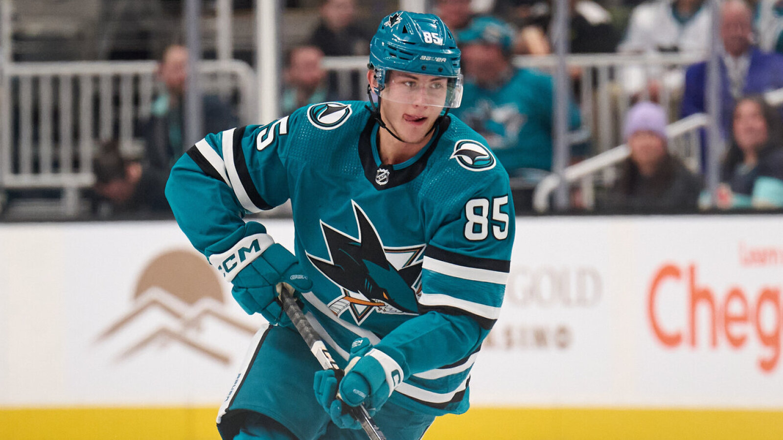 NHL News