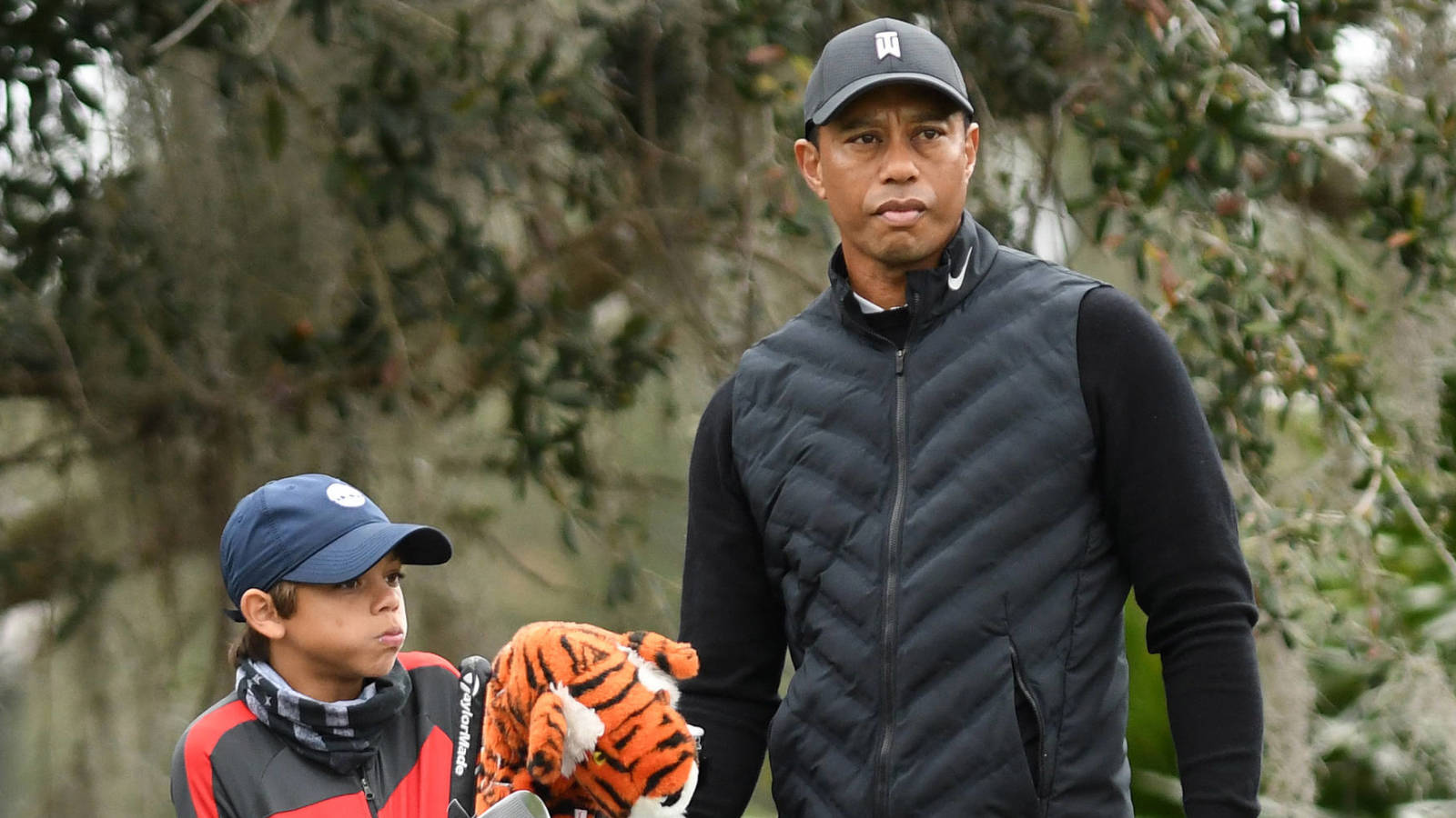 tiger woods metal spikes