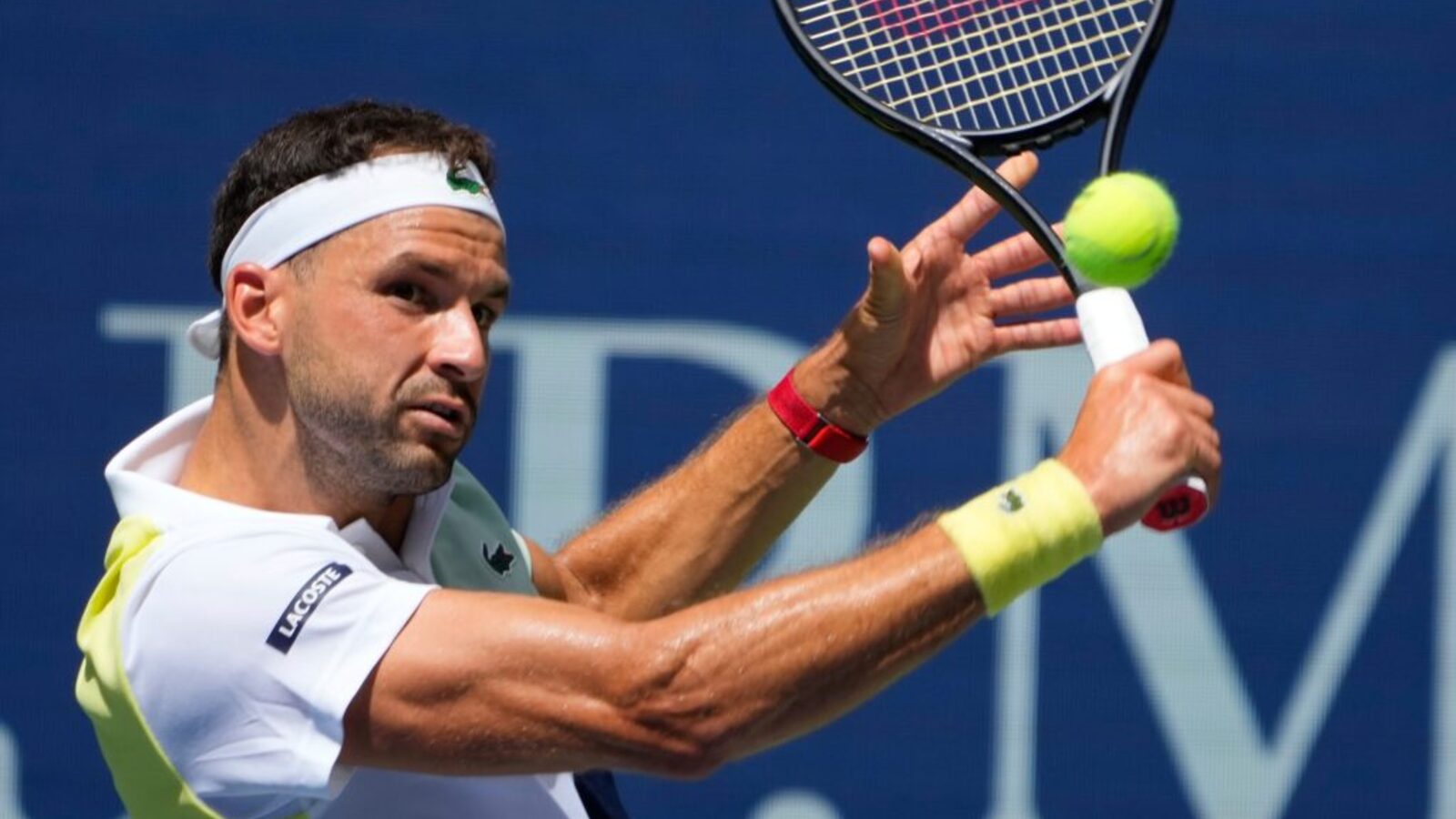 ATP Paris Masters Final Prediction: Novak Djokovic vs Grigor Dimitrov