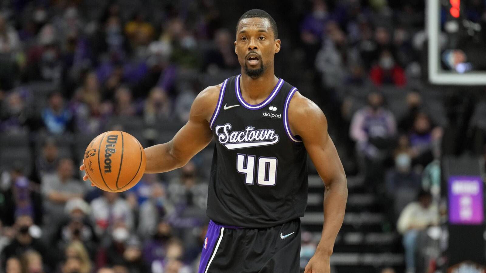 harrison barnes
