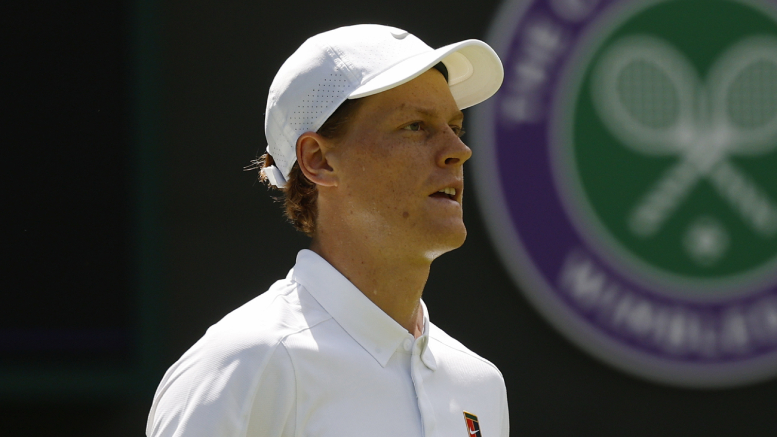Jannik Sinner had classy message for Grigor Dimitrov after injury