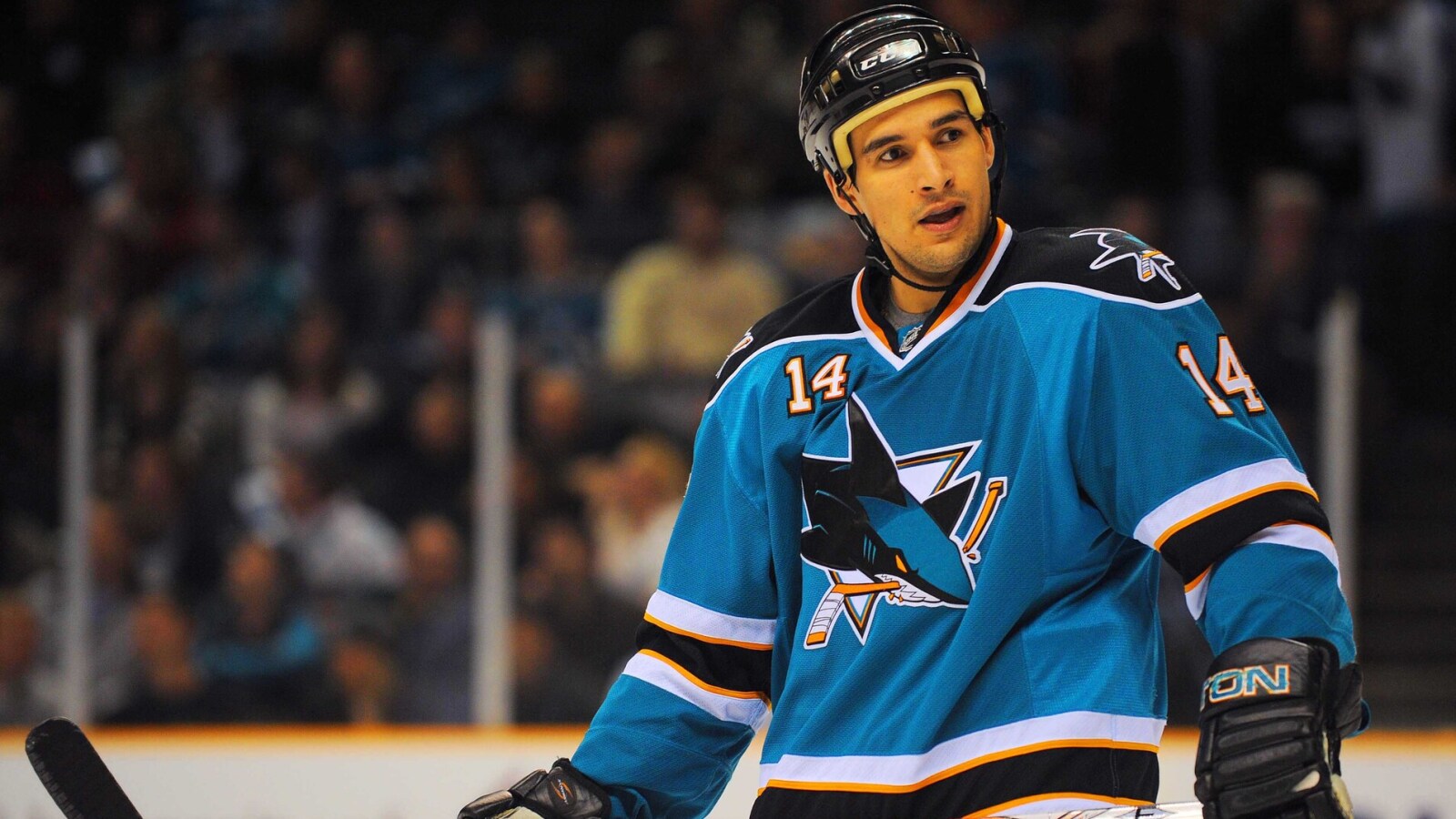 NHL News