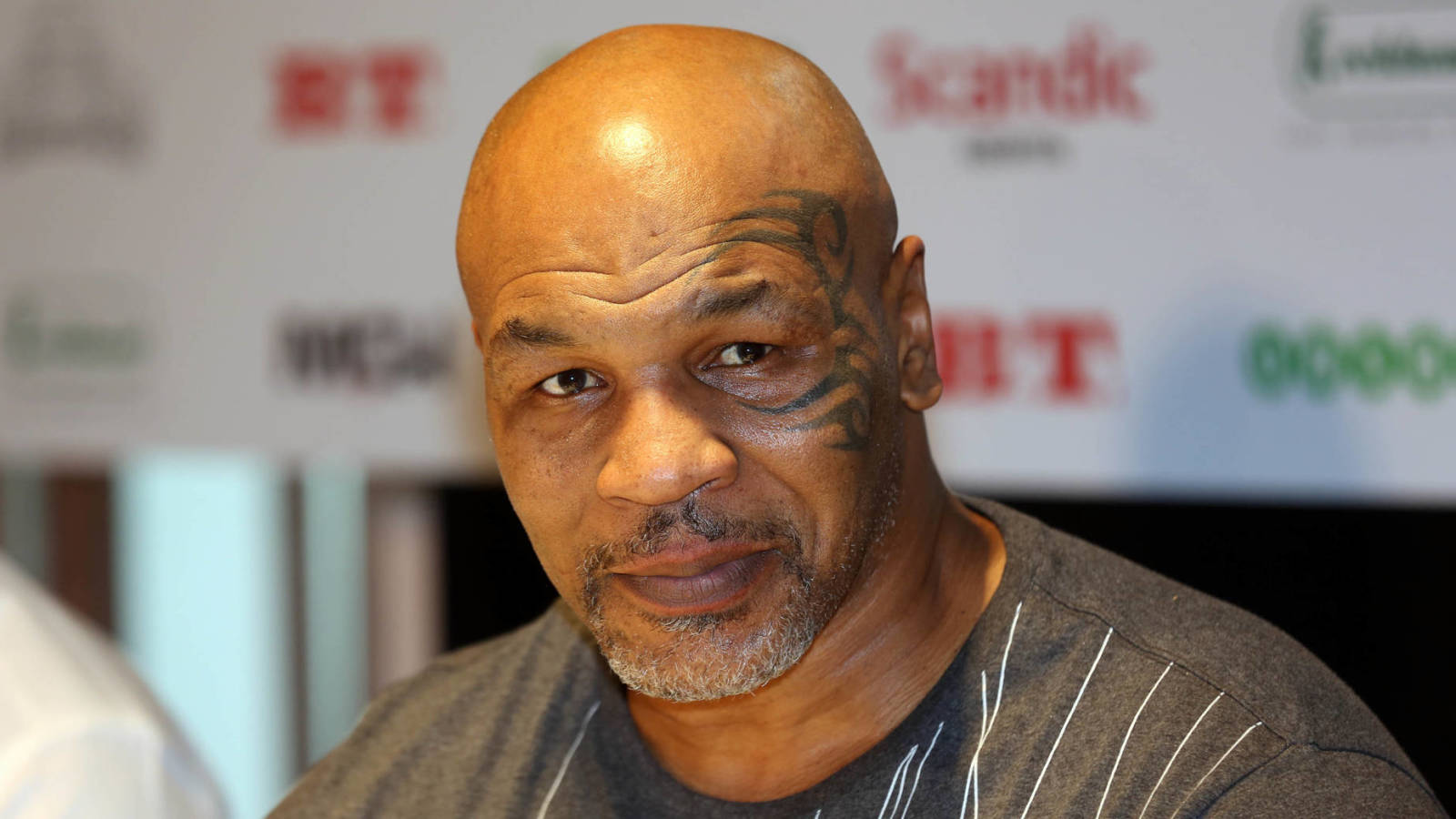 17+ Mike Tyson Recent Training Footage Gif