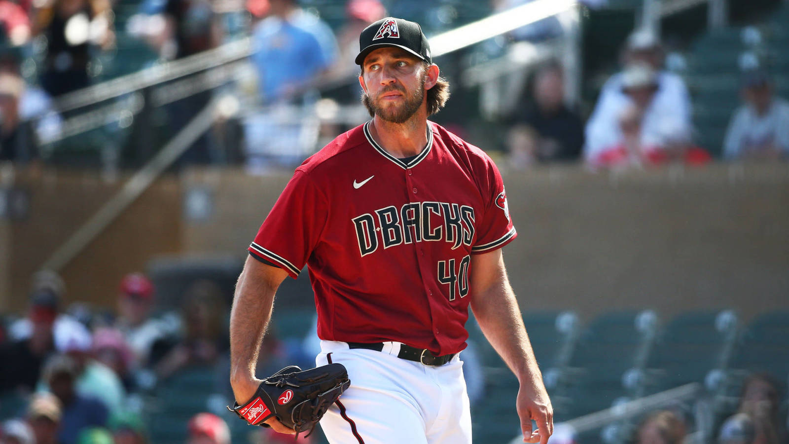 arizona diamondbacks