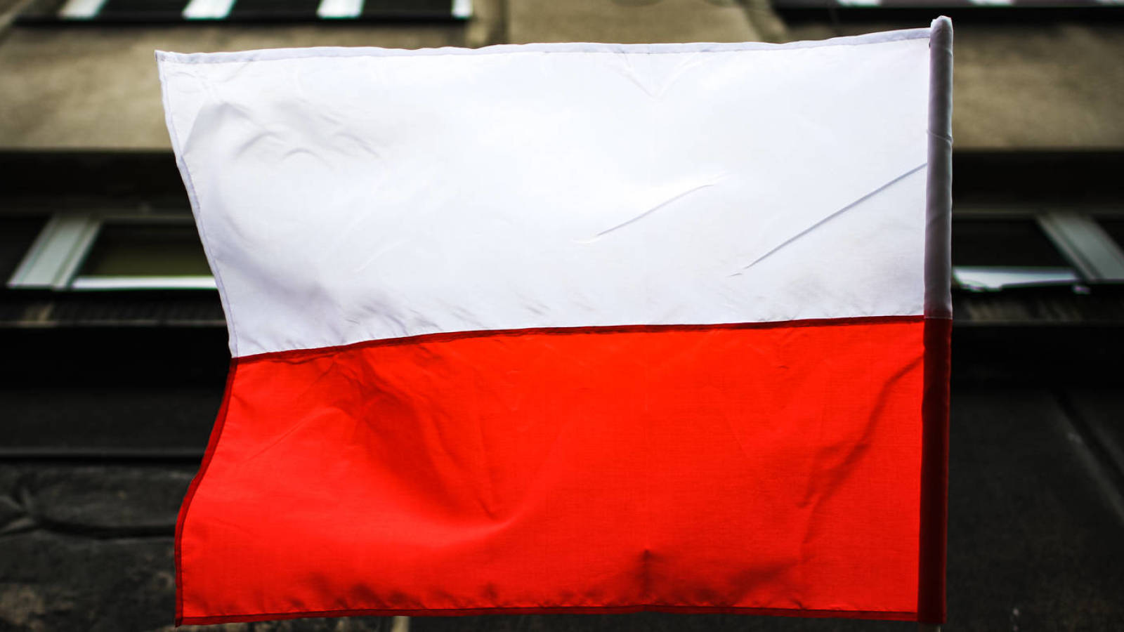 Poland sends six swimmers home from Olympics after big error 1 Poland sends six swimmers home from Olympics after big error