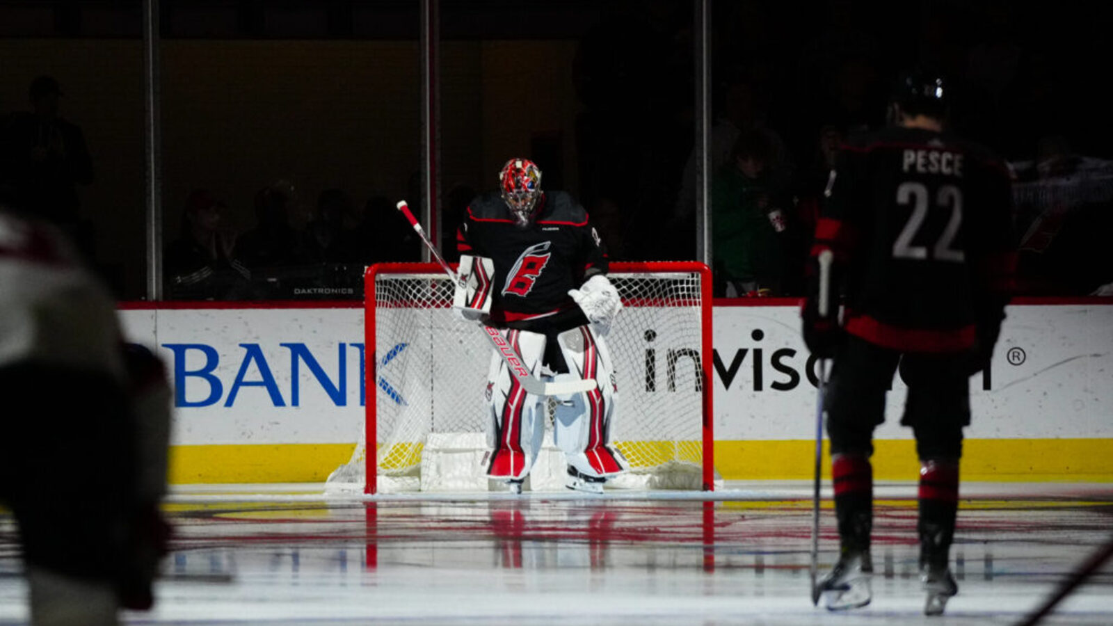 NHL News