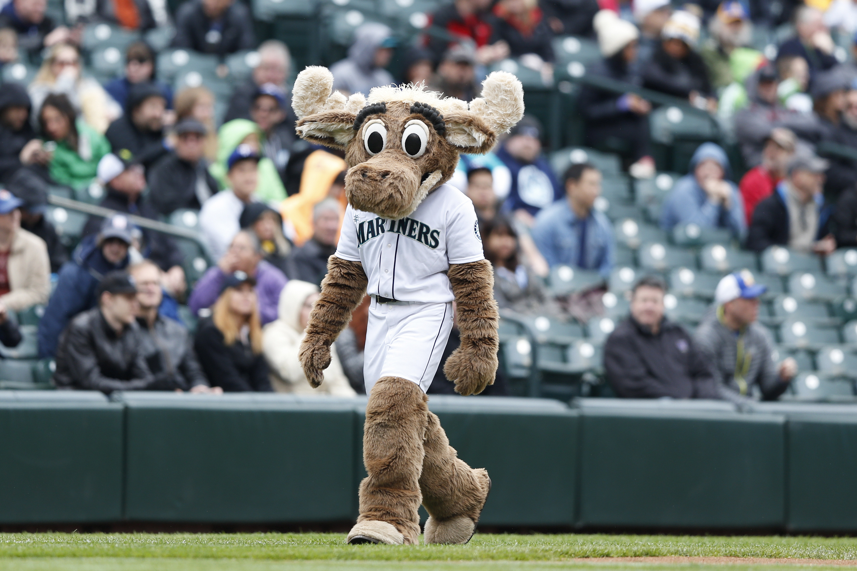 Best and worst mascots in MLB
