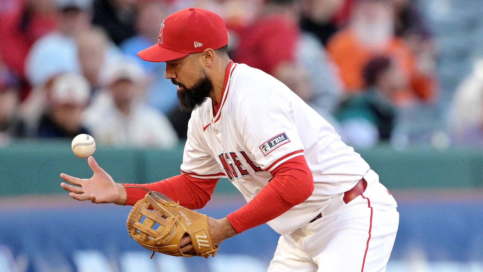 Angels once more set to be without veteran infielder for extended stretch