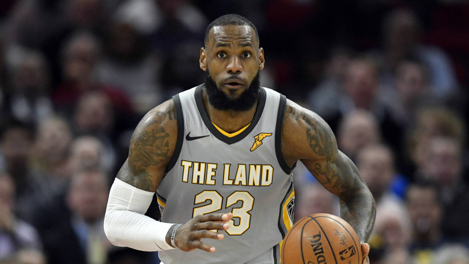 lebron james the land jersey