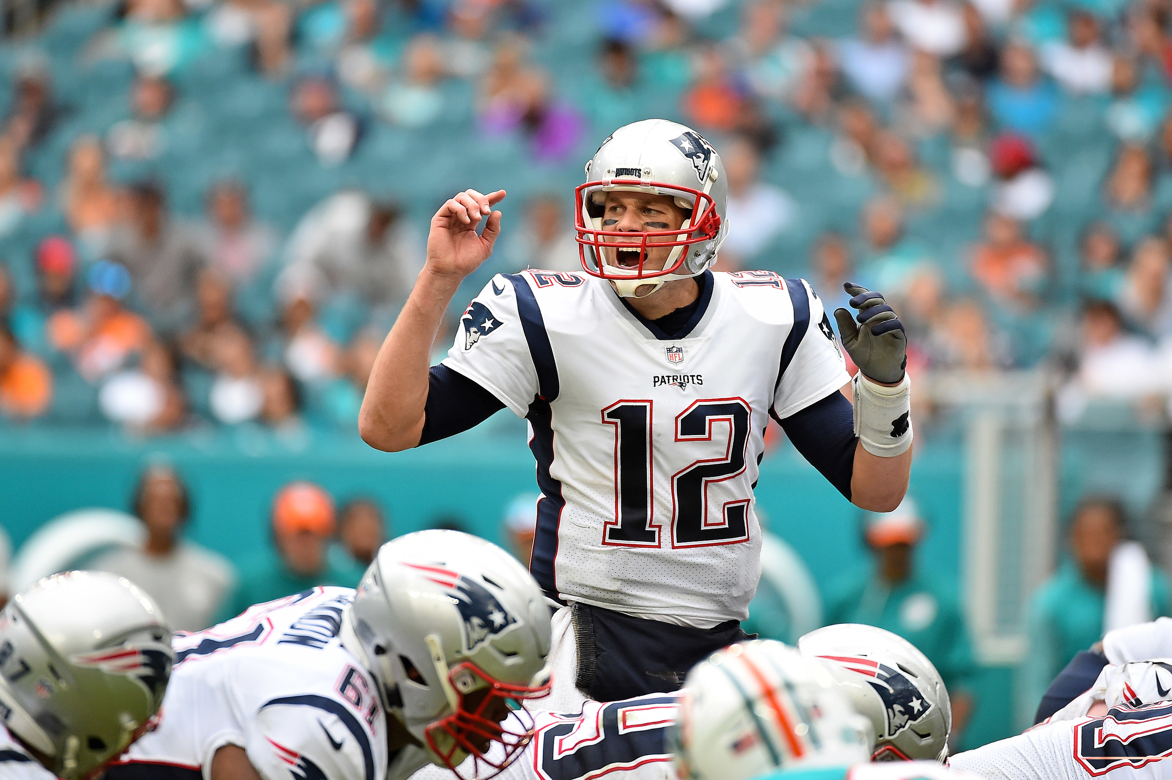 tom brady dolphins jersey