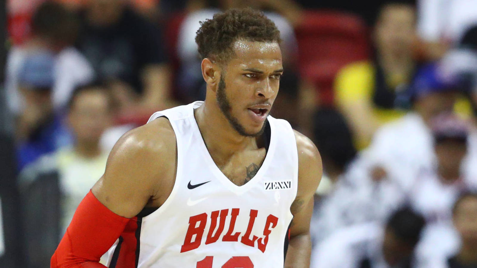 daniel gafford jersey