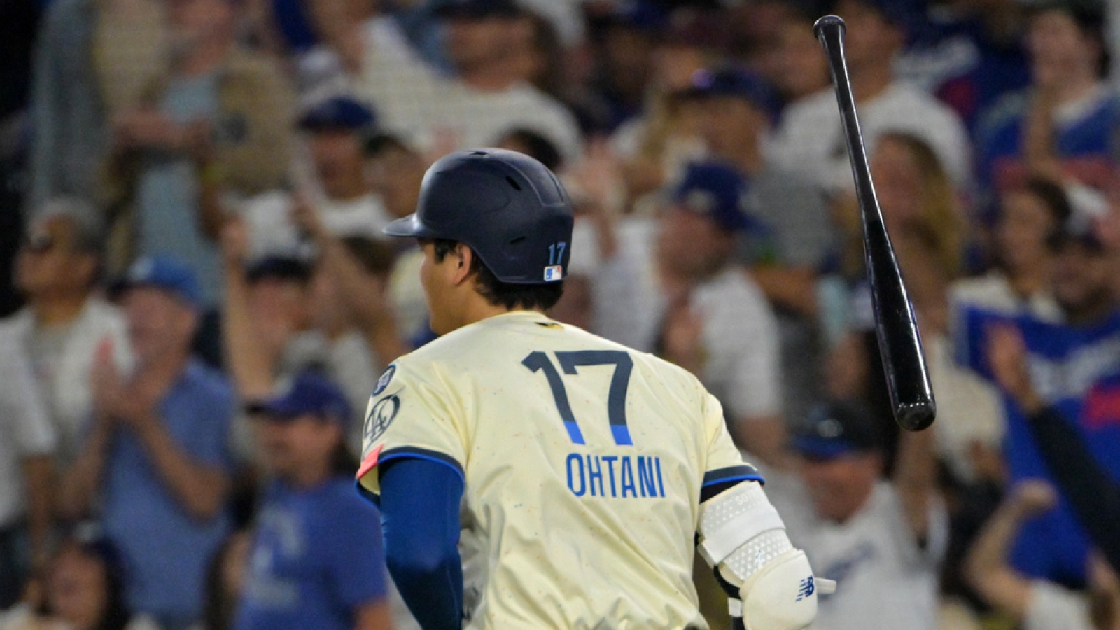 The 'Season home-run-record by MLB team' quiz