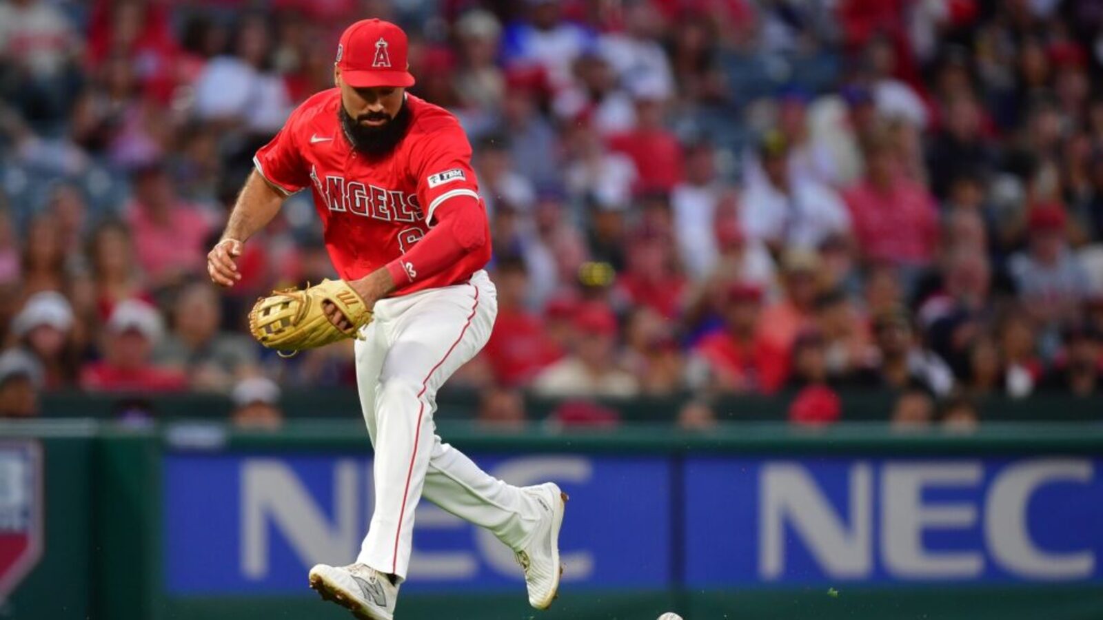 MLB News