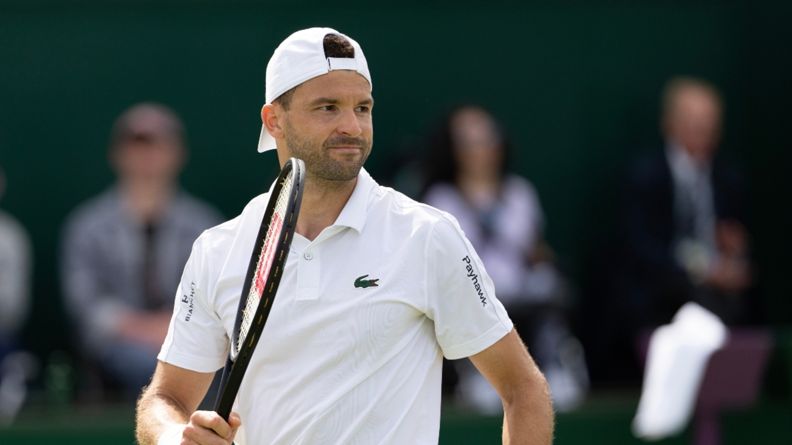 Grigor Dimitrov injury update: Tennis star forced to retire amid dominant Wimbledon performance, Jannik Sinner helps pack bags