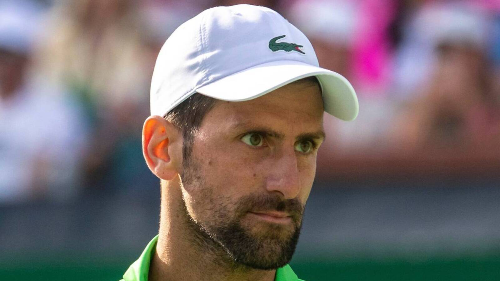 Shocking! Novak Djokovic withdraws from Miami Open days after brutal Indian Wells loss!