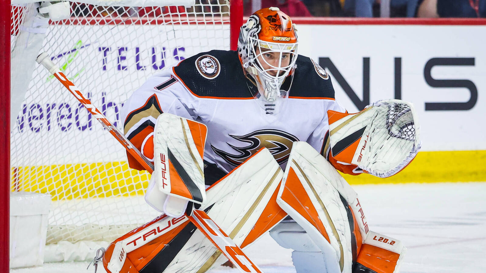 One underrated player to watch for each Pacific Division NHL team in 2023–24