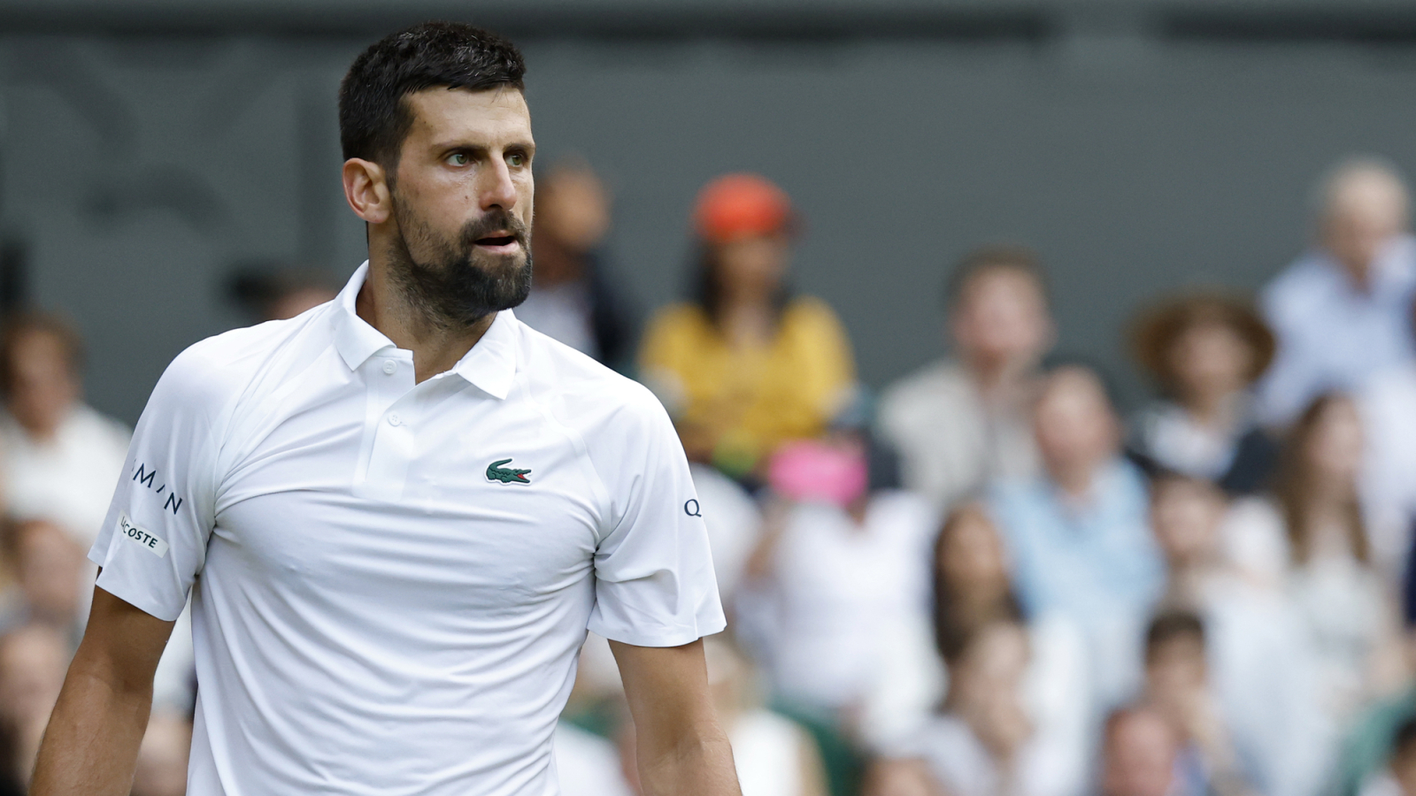 'Not done yet': Goran Ivanisevic backs Novak Djokovic for more Grand Slam glory