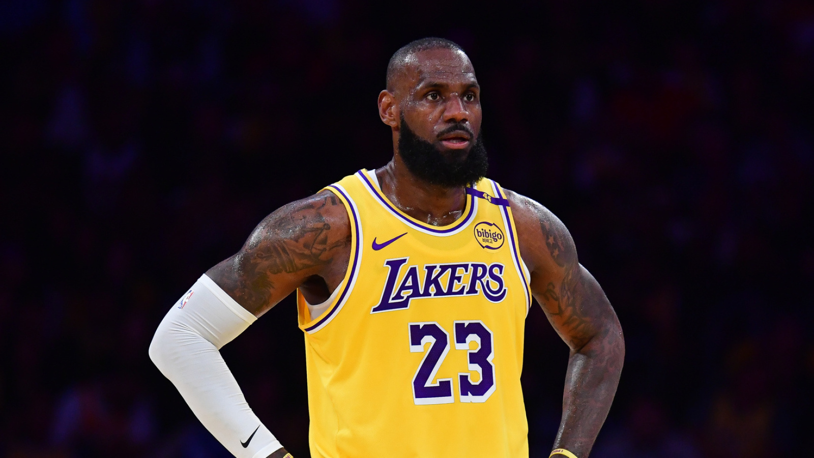 Lakers' LeBron James provides update on his MCL sprain