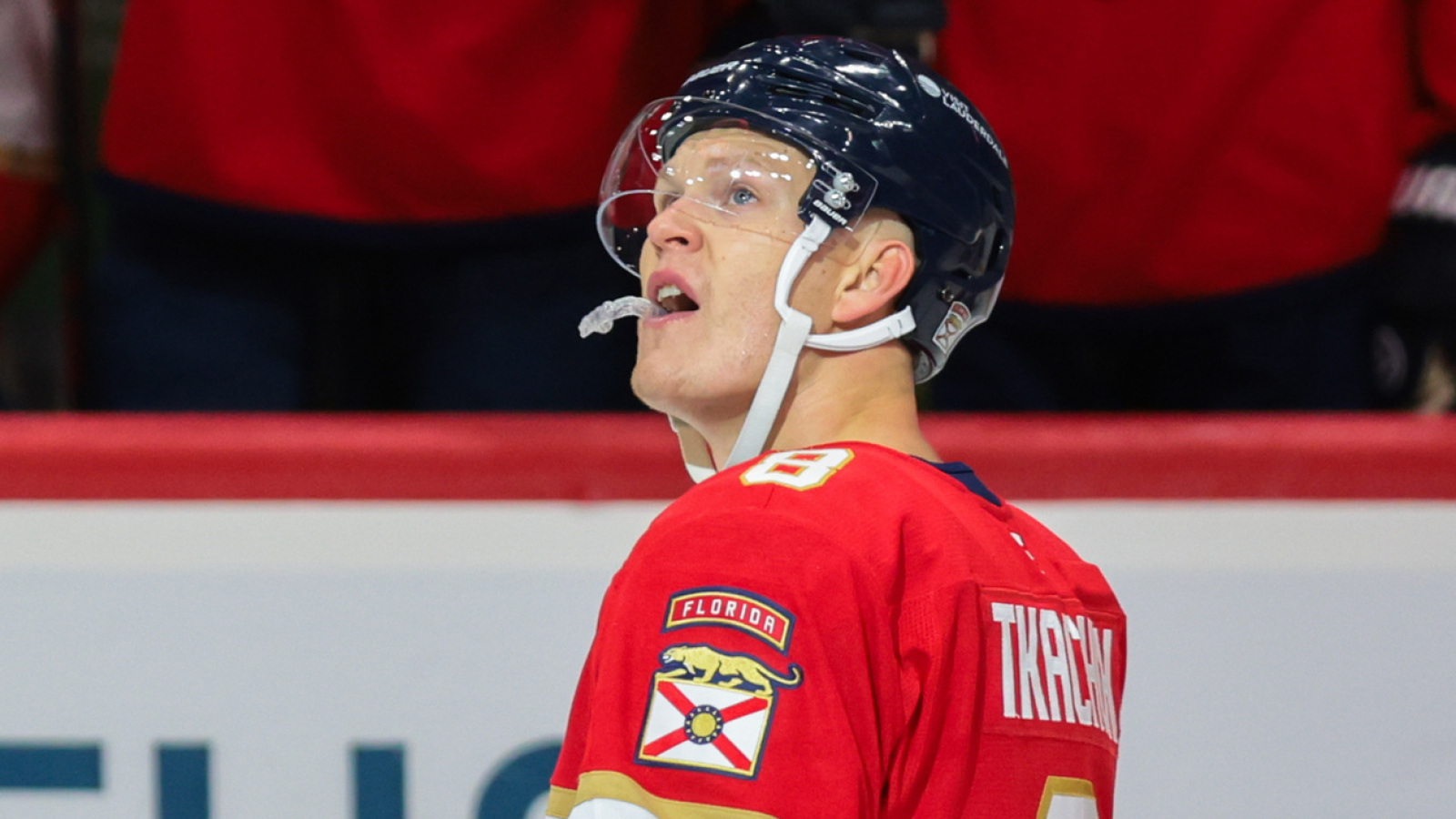 Panthers-Senators was exactly the jolt of excitement the NHL needed