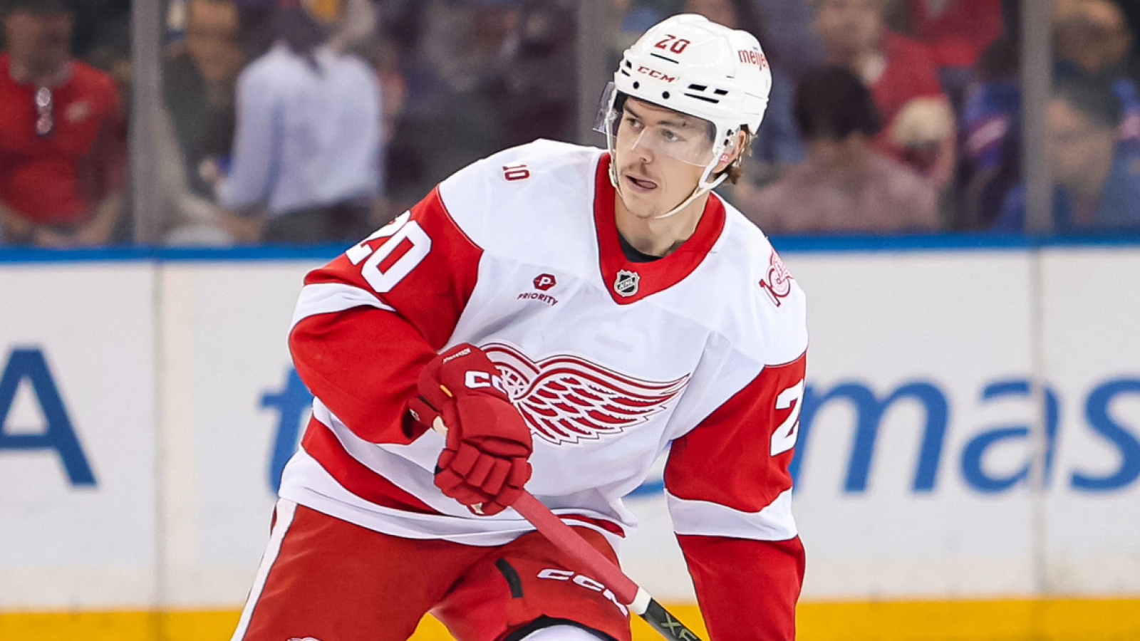 Which Red Wings Players Could Lose Their Roster Spot? | Yardbarker