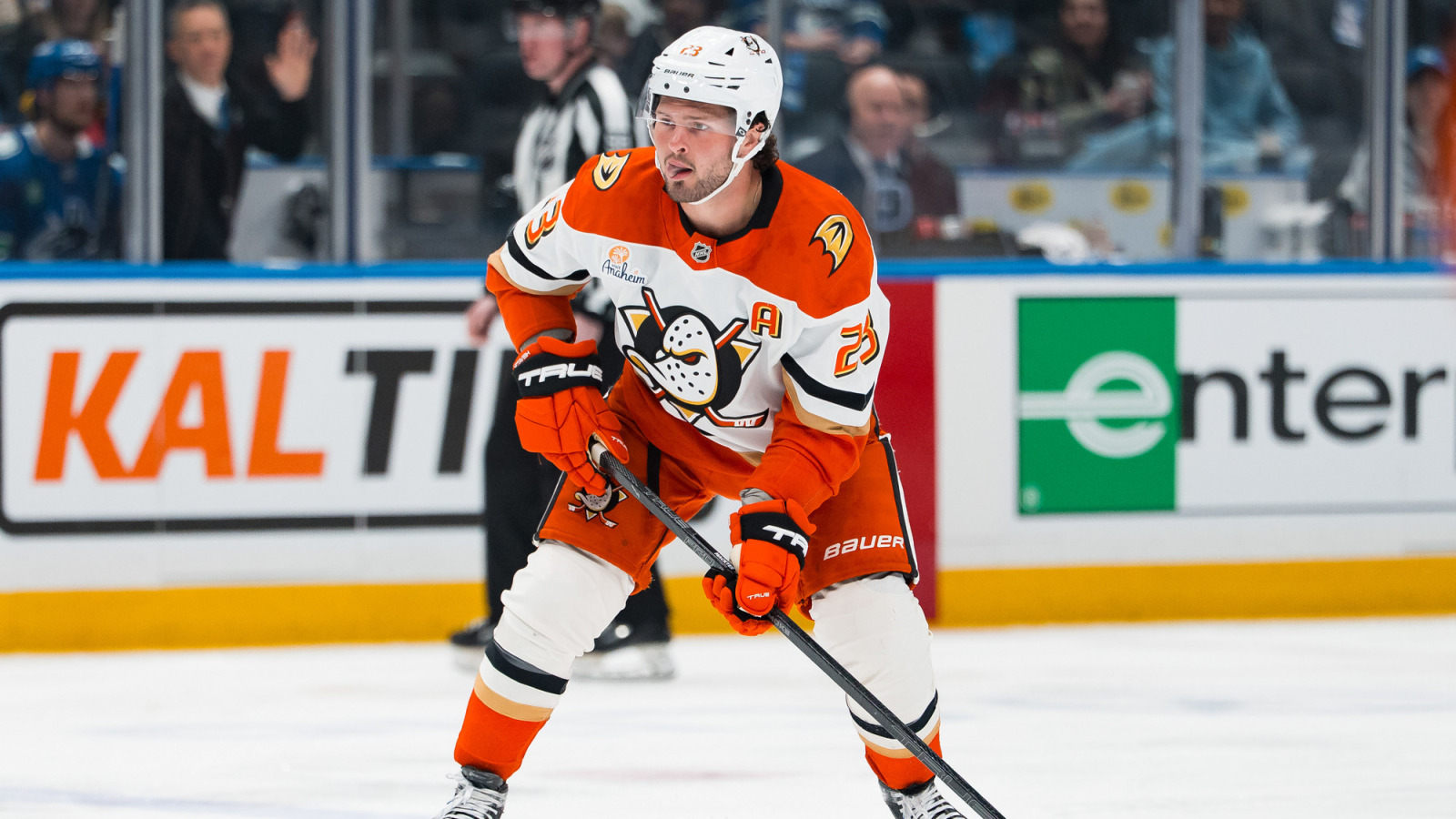 The Ducks Have Had An Uneven Offseason