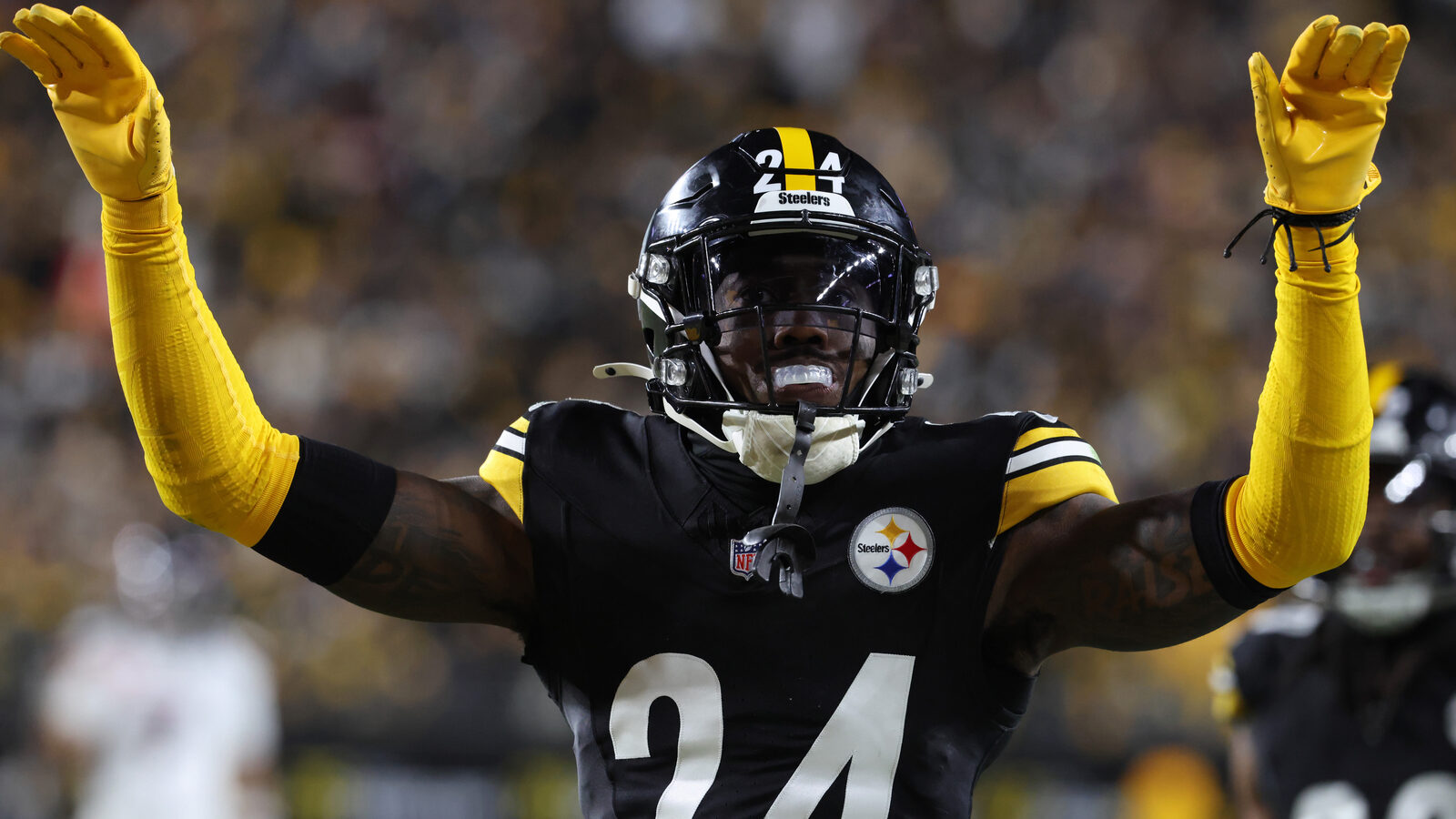 https://www.yardbarker.com/media/0/2/02ac3787724bb74e7a5f98df6baa750c337d47af/thumb_16x9/lions-back-top-stealing-steeler.jpg