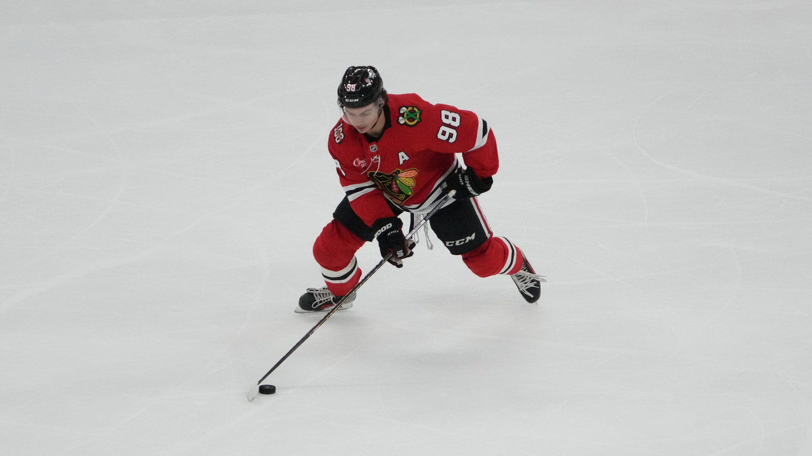 Connor Bedard Takes Faceoffs as Shoulder Recovery Moves Forward