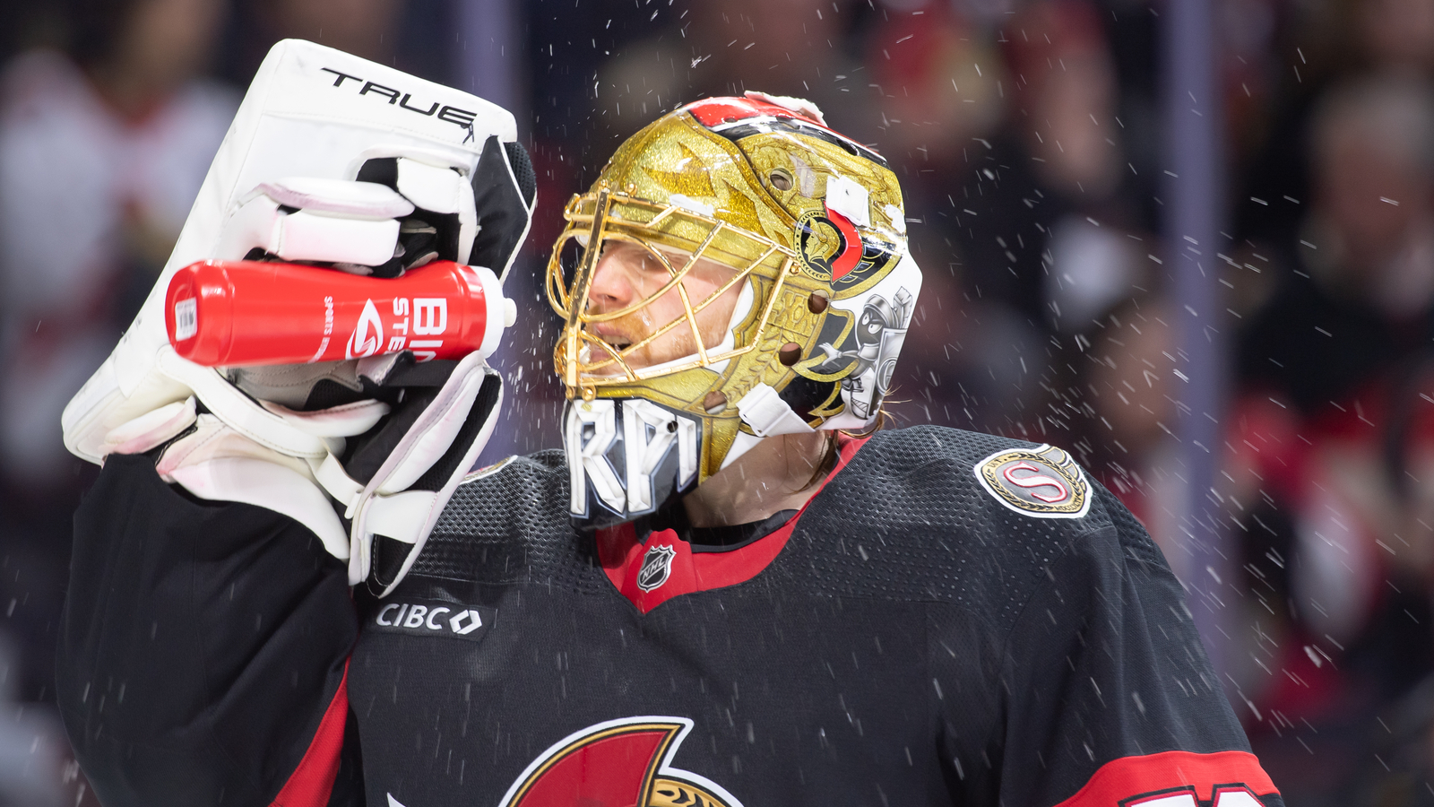 Bruins Preseason Game 4 Reaction Penalties Spoil Encouraging Night