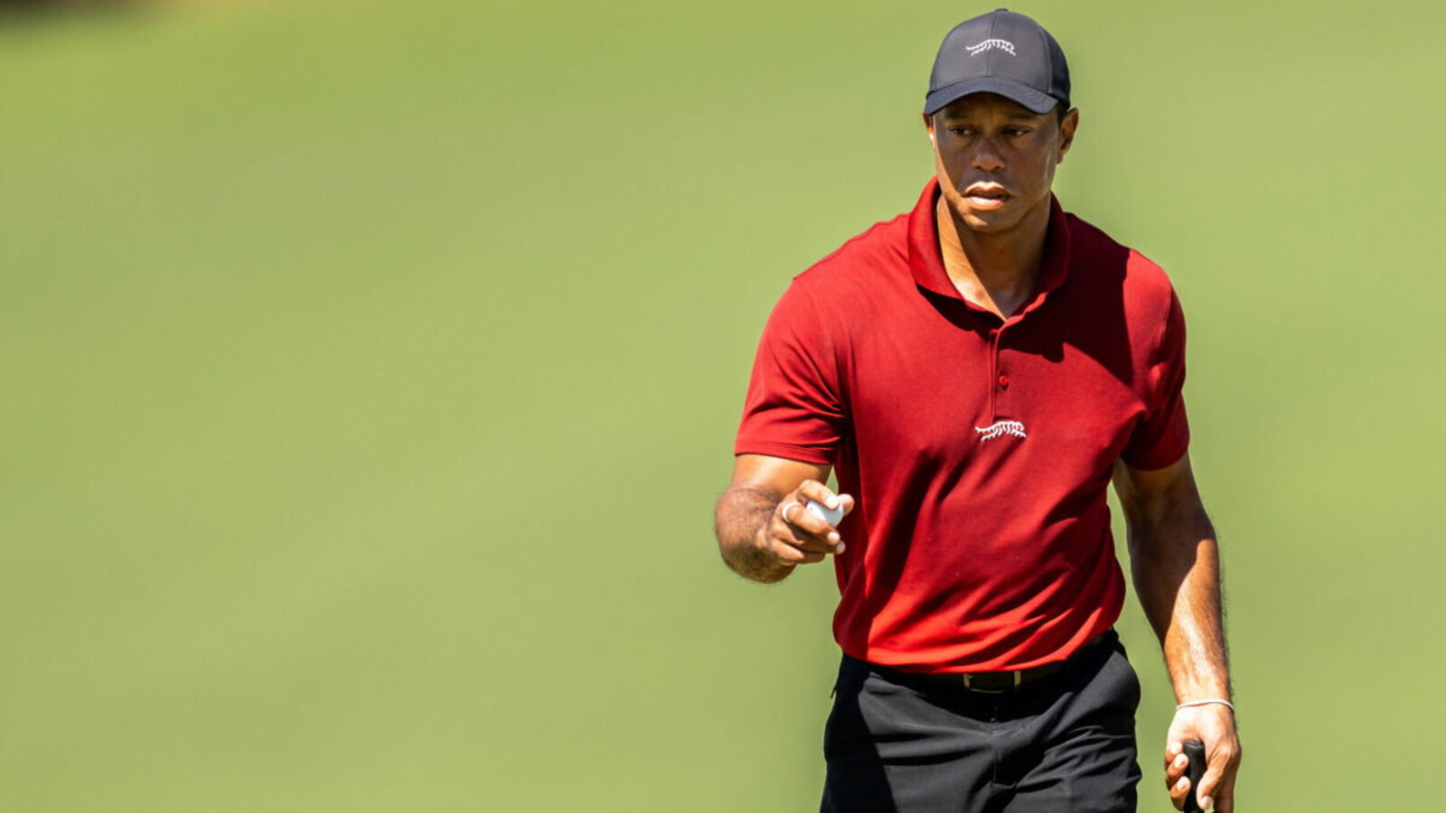 Tiger Woods Congratulates Young Golfers on Instagram
