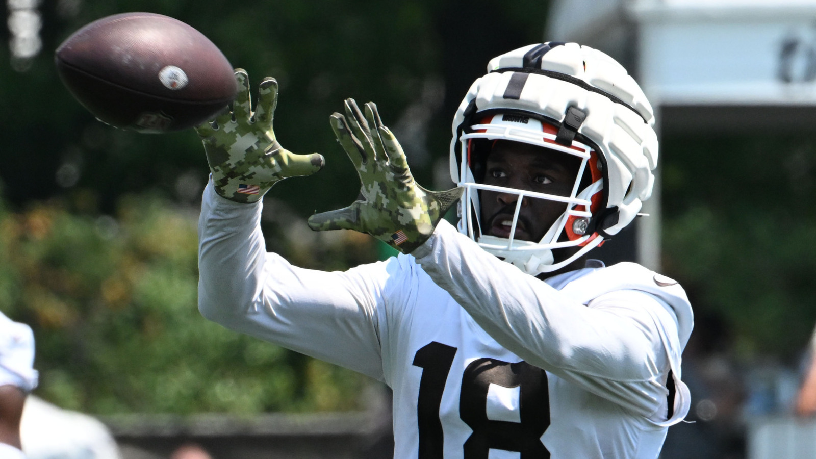 Browns waive former third-round WR pick