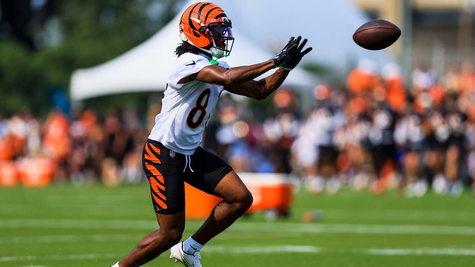 Bengals' roster hopeful is making all the right impressions to continue a Cincinnati tradition specific to his position