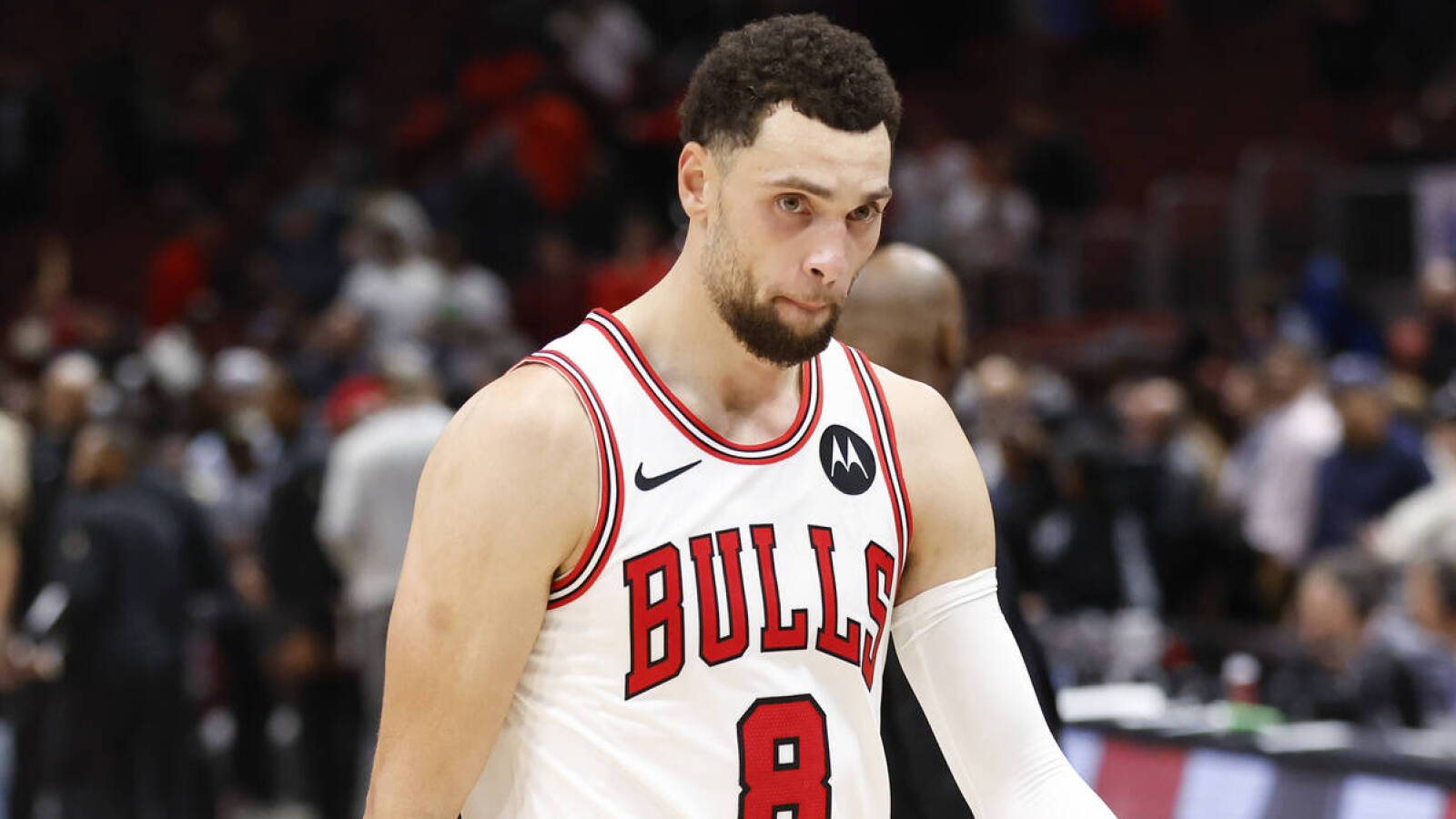 NBA Зак Лавин