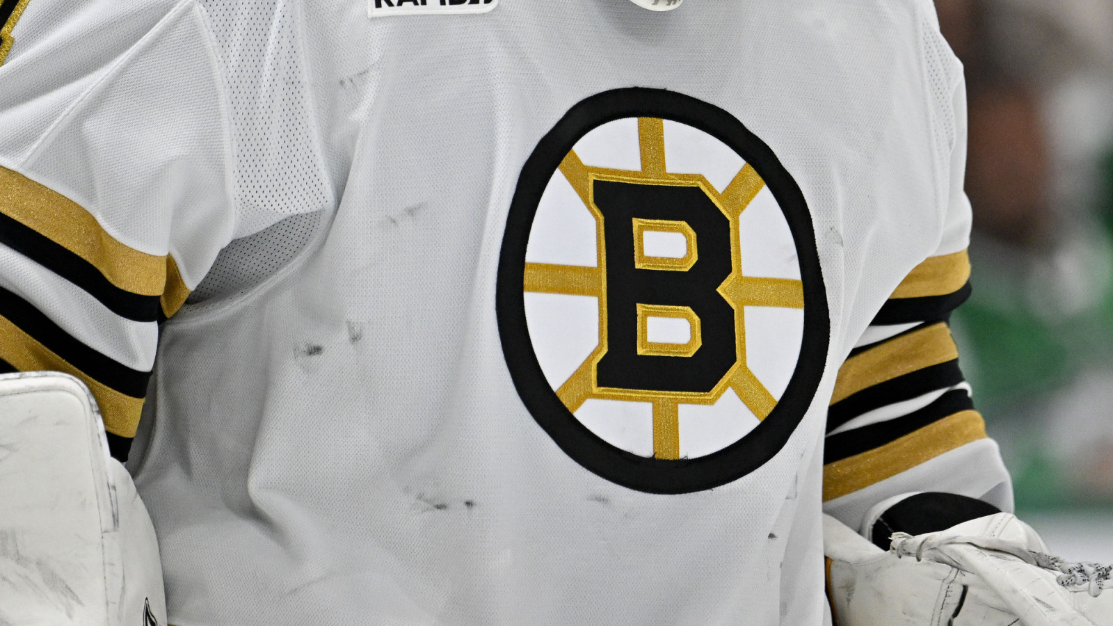 Bruins Cut Fabian Lysell And 19 Others From Training Camp Roster