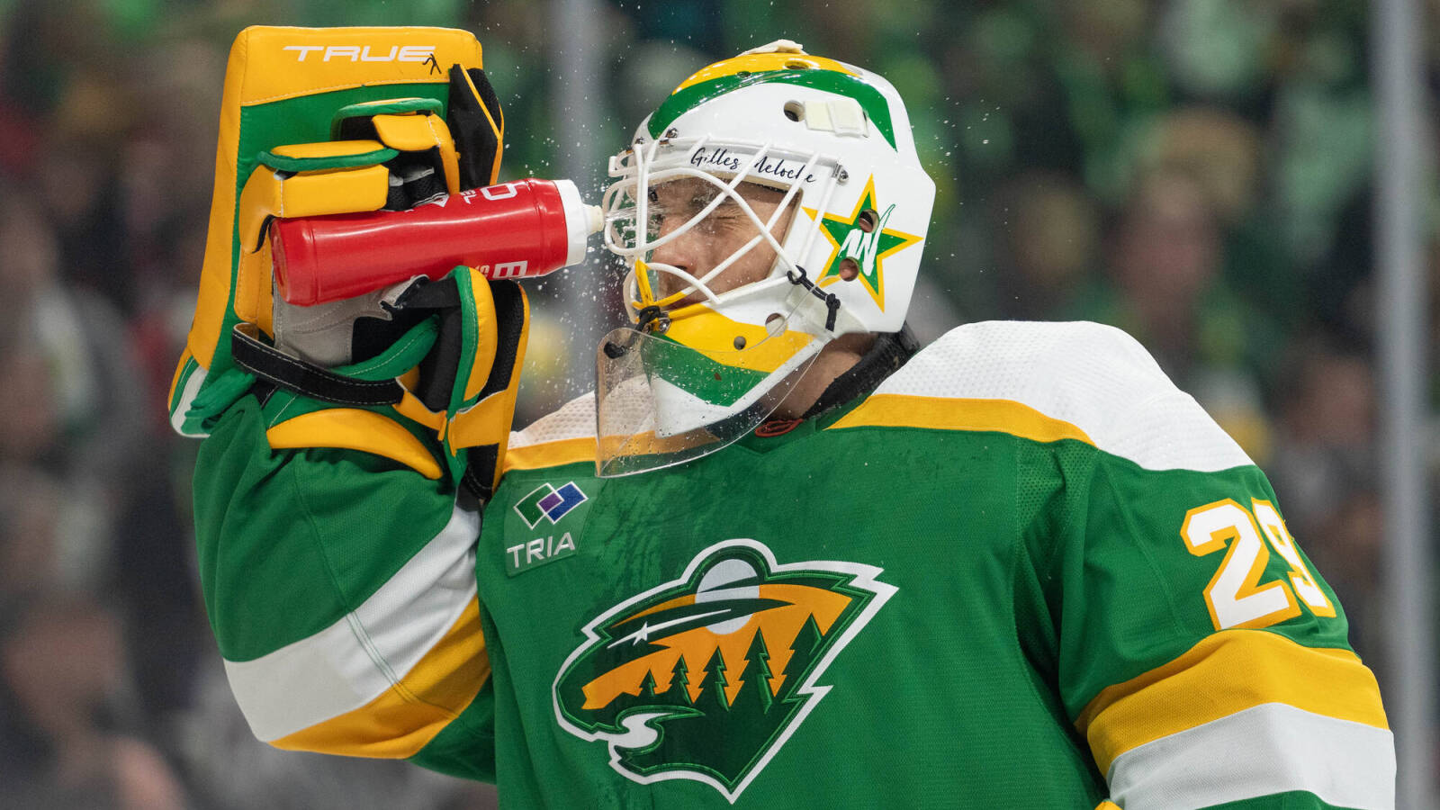 Cam Talbot Marc-Andre Fleury Minnesota Wild Vegas Golden Knights 