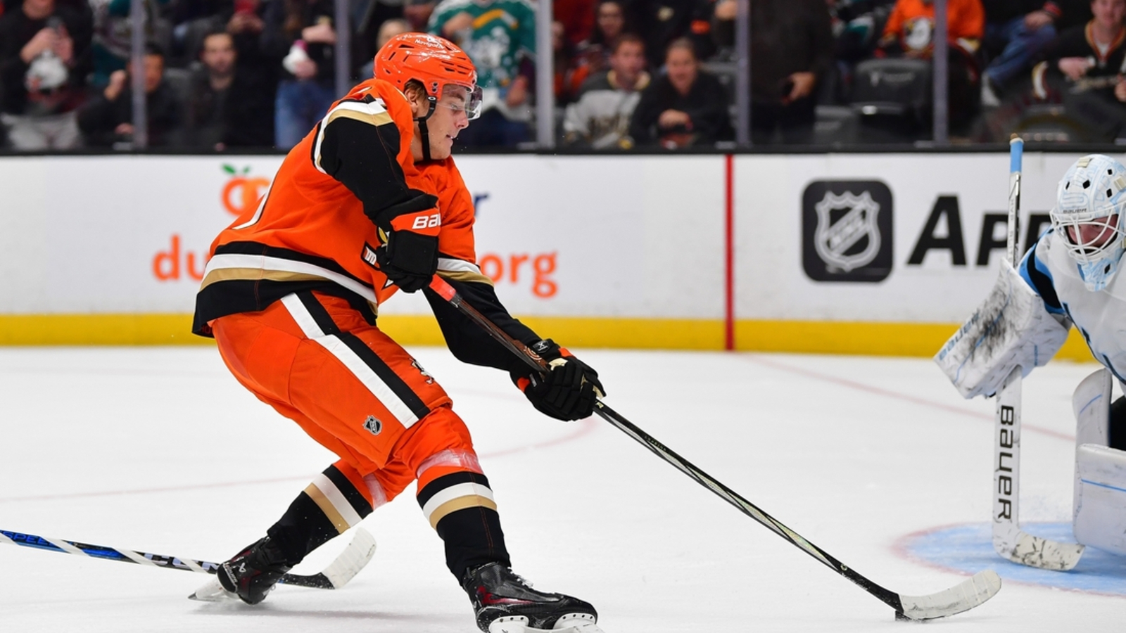 NHL News