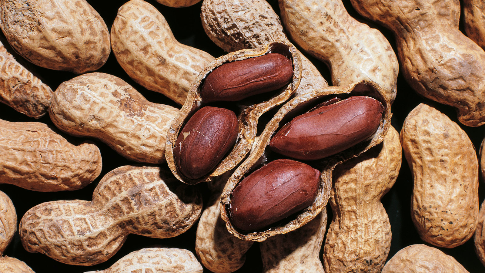 Арахис орех или боб. Земляной орех арахис. Арахис обыкновенный. Сенегал арахис. Земляные орехи Киргизия.