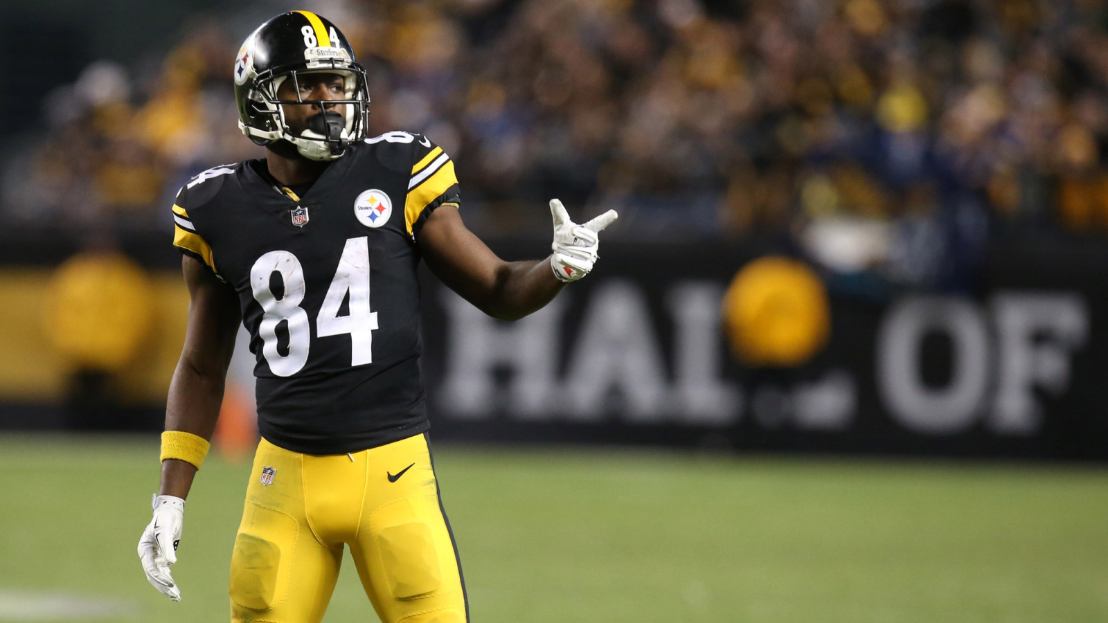NFL News