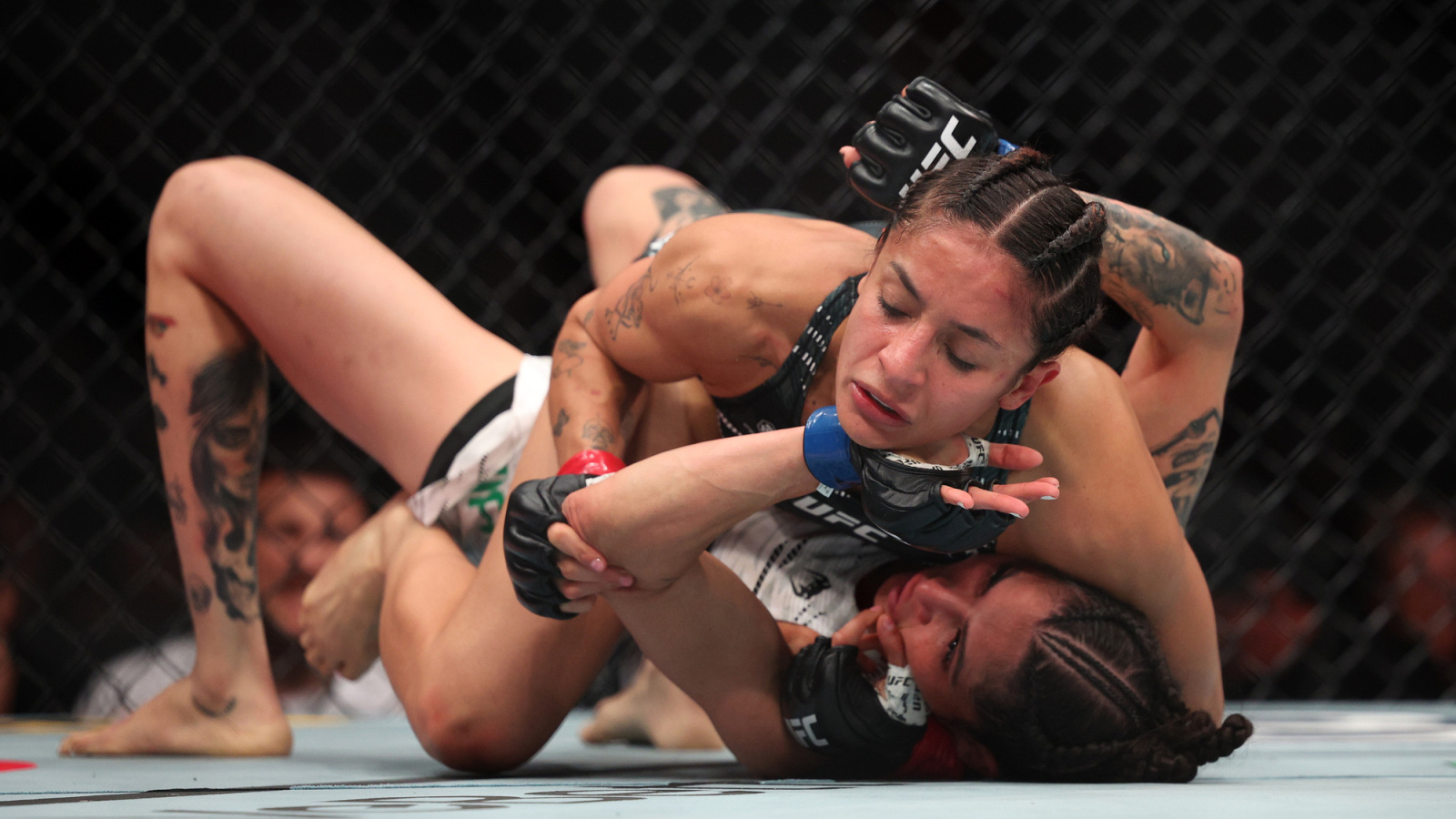 Grappling Legend Gordon Ryan Finds Himself at the Center of Alleged ...