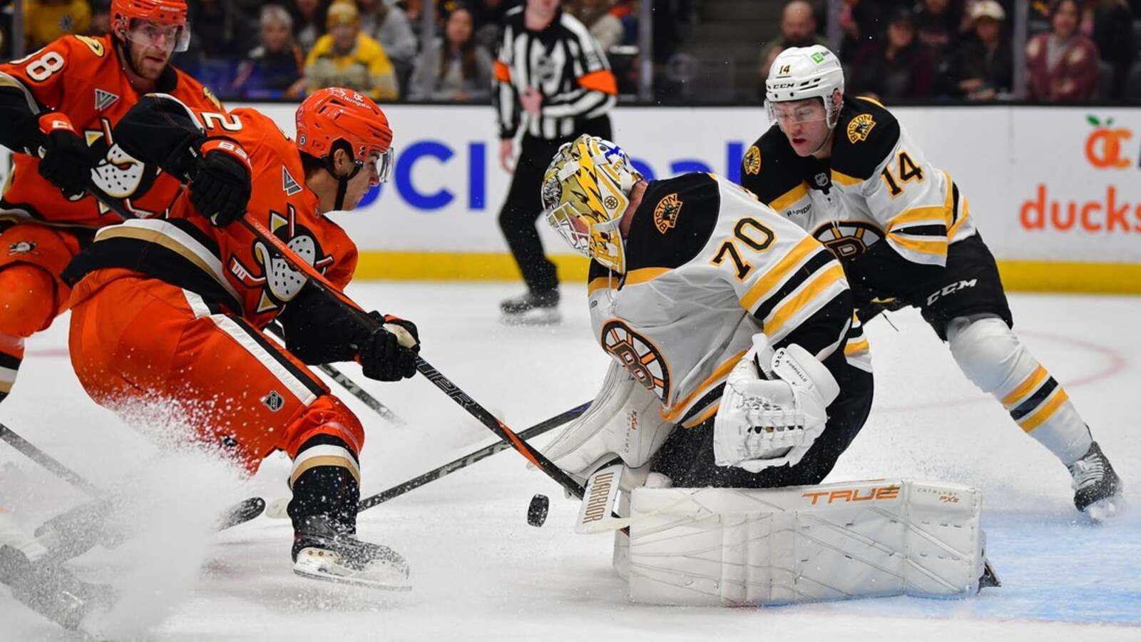 NHL News
