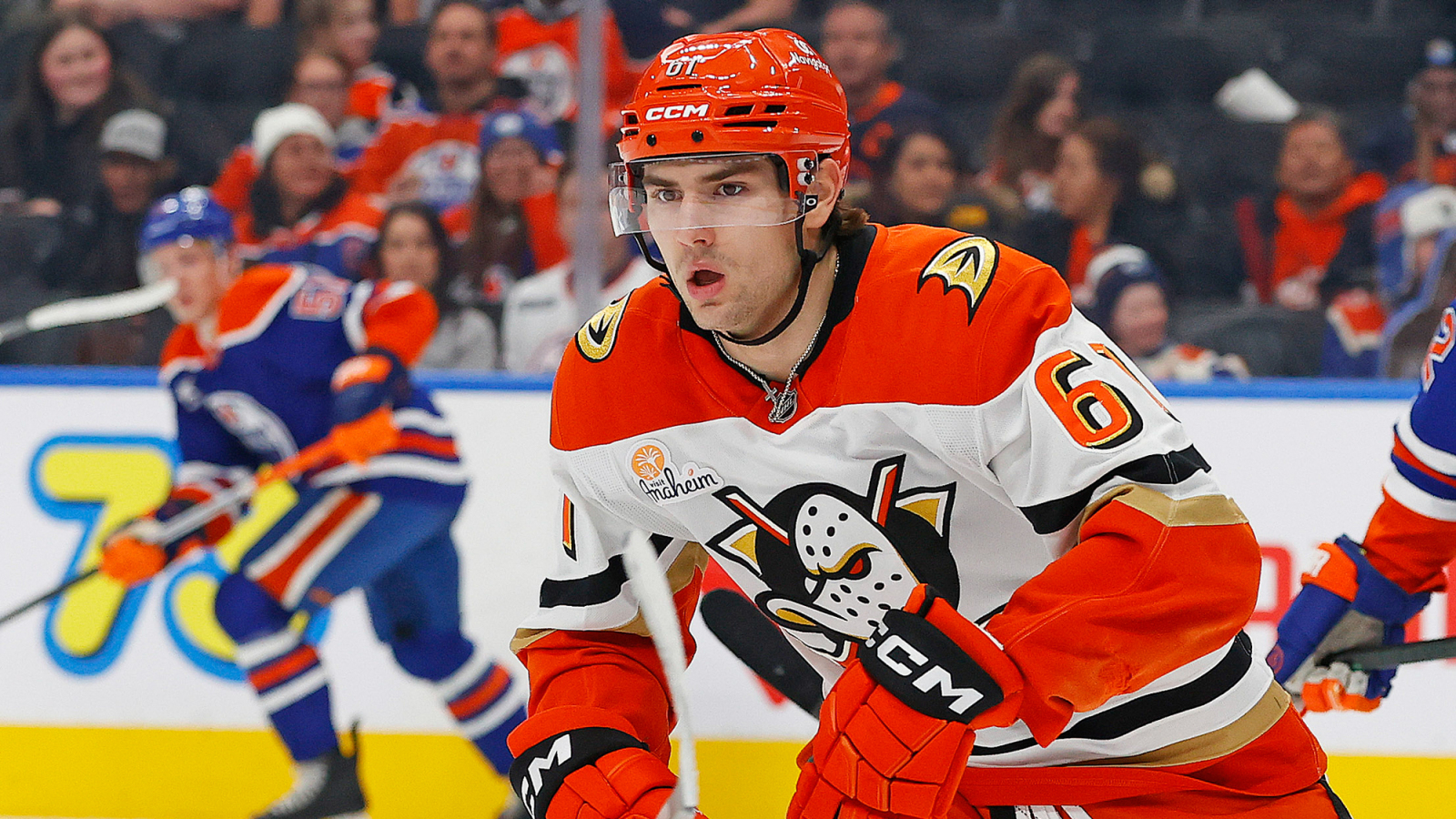 NHL News