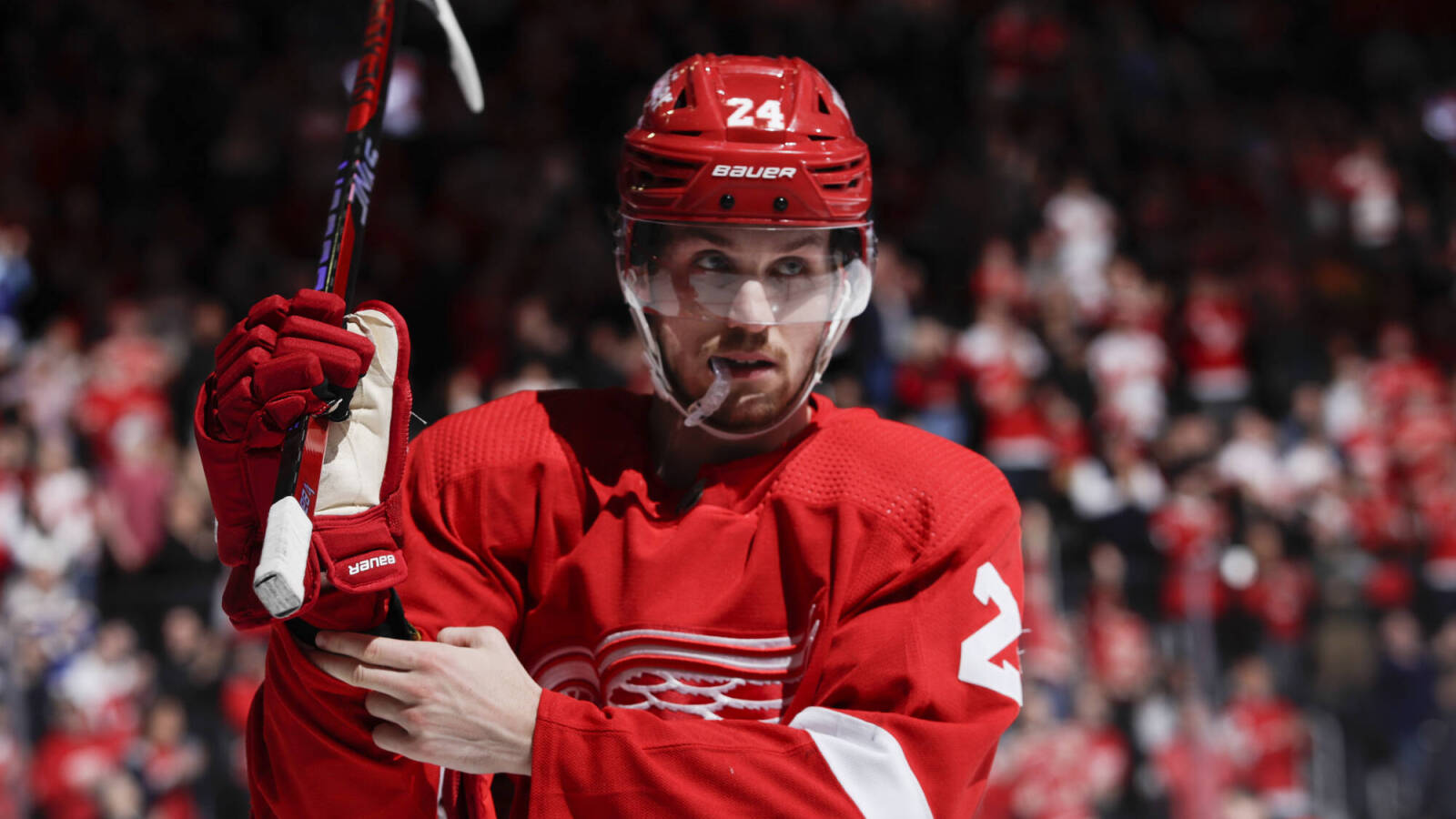 Detroit Red Wings игроки