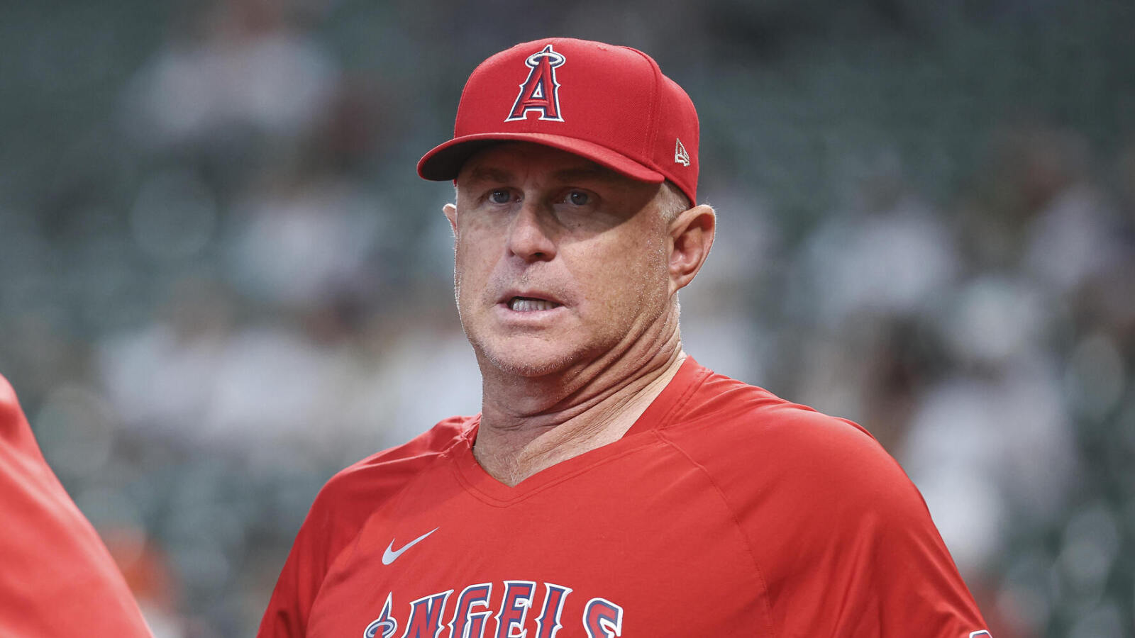 MLB News