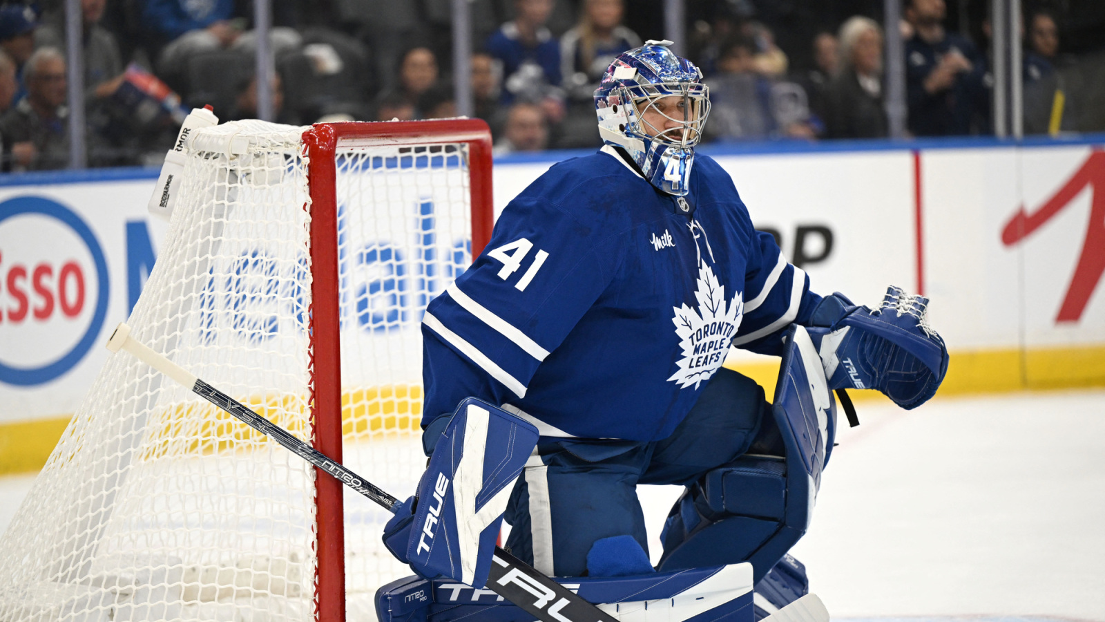 Is the Old Anthony Stolarz Back for the Maple Leafs?
