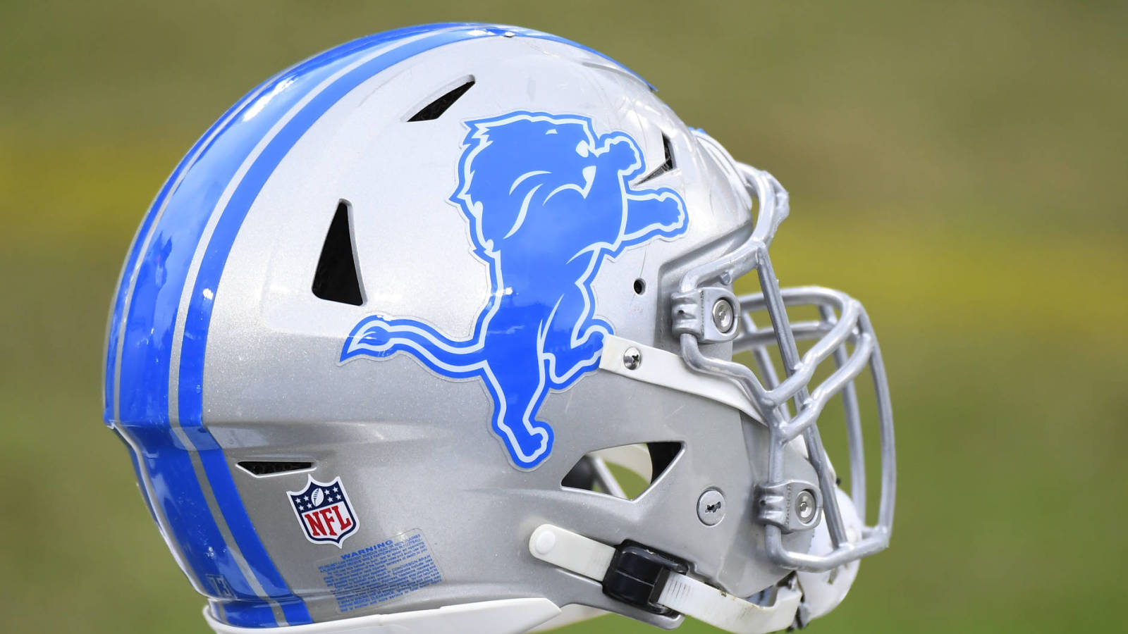 nfl detroit lions