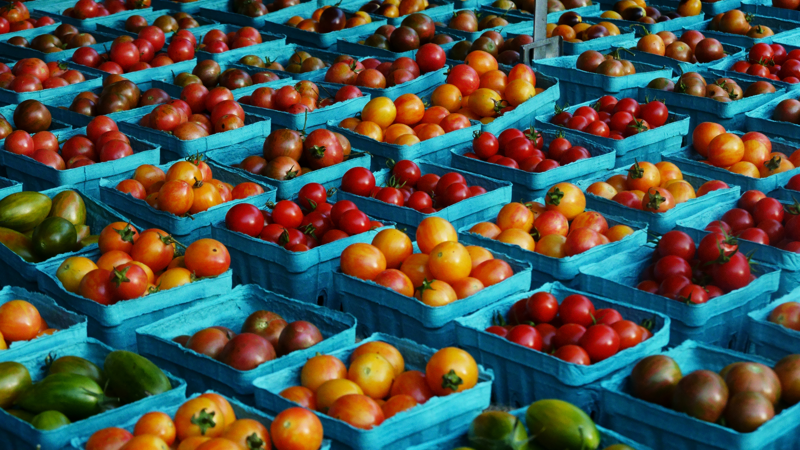 Out cold 20 foods you shouldn't refrigerate Yardbarker