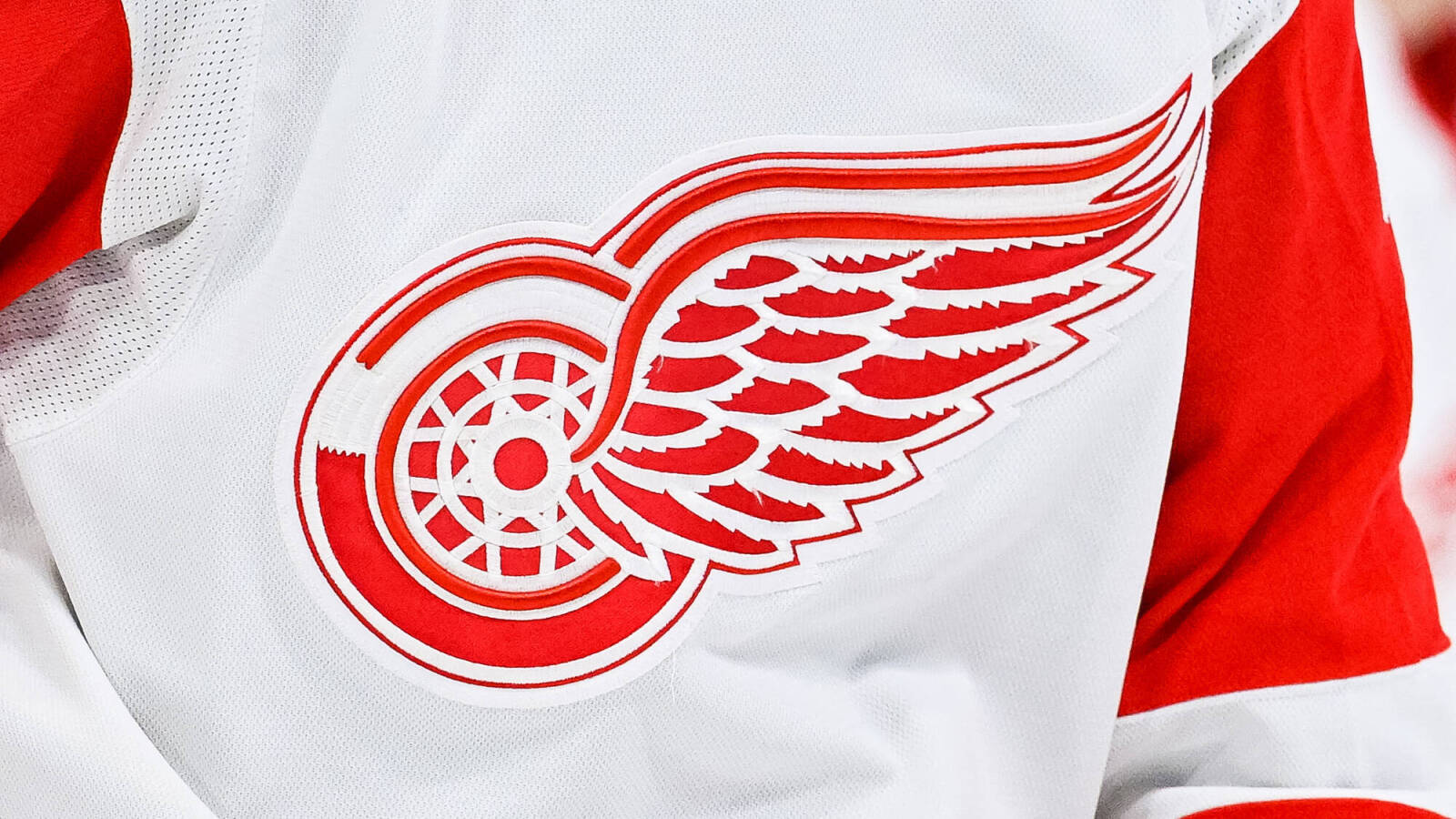 Red Wings’ Traverse City Rookie Tournament Down to Two Teams