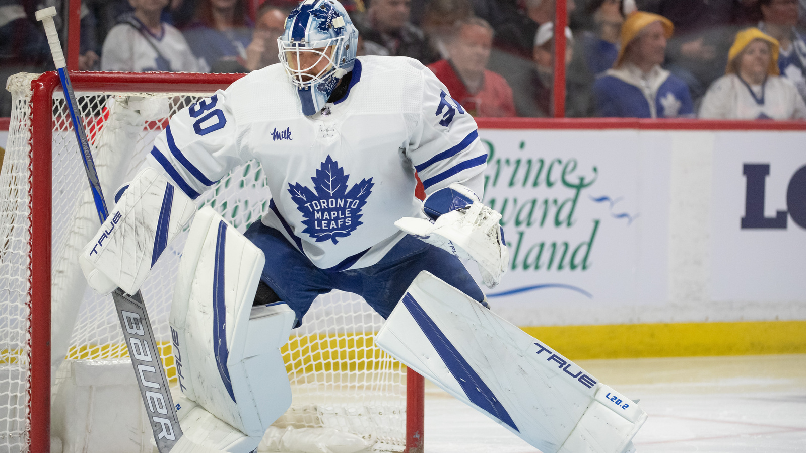 Toronto clinches playoff spot, Ryan Tverberg's pro debut, and more: Marlies Weekly - Vimarsana News