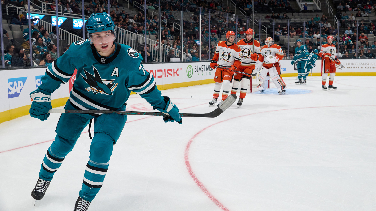 How much pressure are the Sharks under this season?