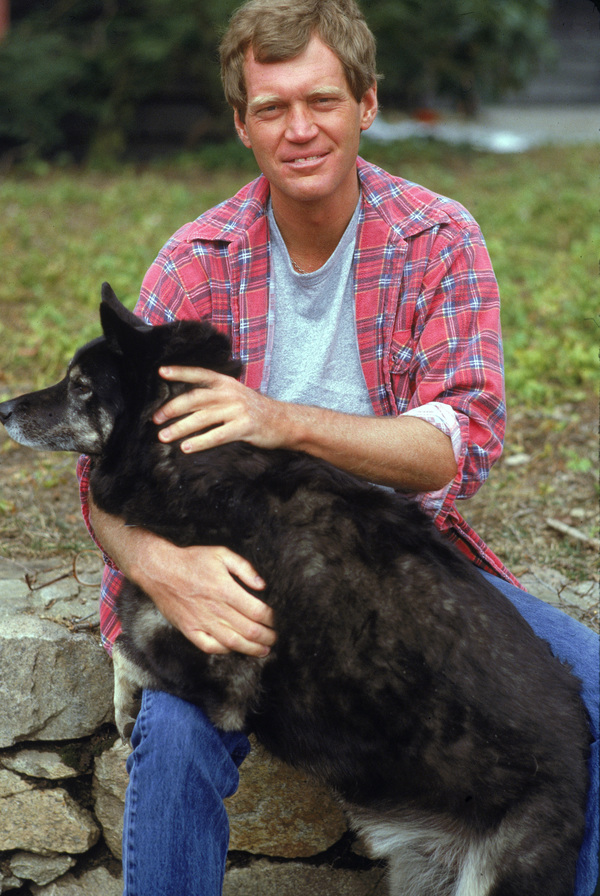 David Letterman S Greatest Jokes And Bits From Late Night Tv Yardbarker